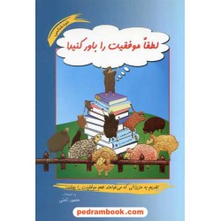 لطفا موفقیت را باور کنید / محمود نامنی / نامن