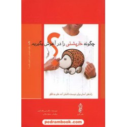 چگونه خارپشتی را در آغوش بگیریم: راه های آسان برای دوست داشتن آدم های بدقلق / دبی جاف الیس / البرز