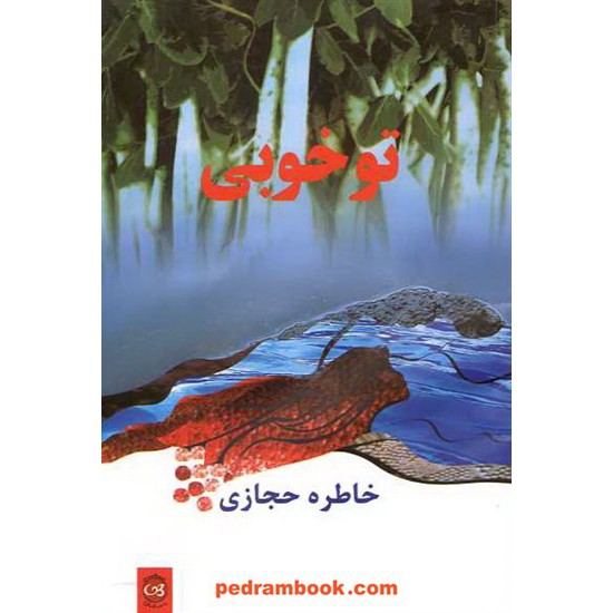 عکس کتاب تو خوبی / خاطره حجازی / پیکان خرید کتاب تو خوبی / خاطره حجازی / پیکان کد کتاب در سایت کتابفروشی کتابسرای پدرام: 10409