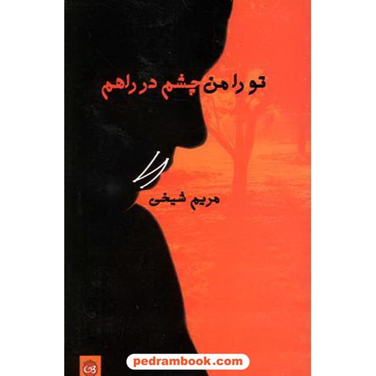 خرید کتاب تو را من چشم در راهم / مریم شیخی / پیکان کد کتاب در سایت کتاب‌فروشی کتابسرای پدرام: 10411