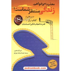 معذرت می خواهم زندگی منتظر شماست / لین گراب هورن / شباهنگ