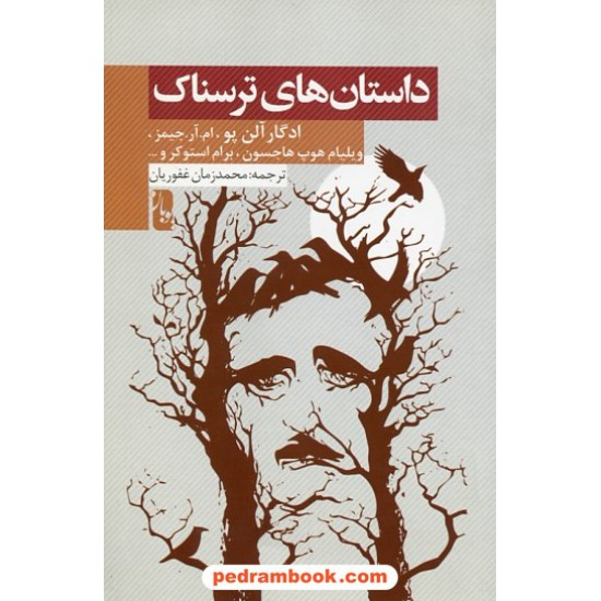 خرید کتاب داستان‌های ترسناک / ادگار آلن پو / محمدزمان غفوریان / یوبان کد کتاب در سایت کتاب‌فروشی کتابسرای پدرام: 10814