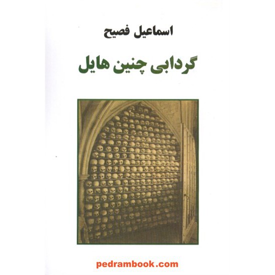 خرید کتاب گردابی چنین هایل / اسماعیل فصیح / نشر پیکان کد کتاب در سایت کتاب‌فروشی کتابسرای پدرام: 11875