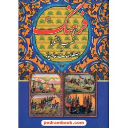 فرهنگ ضرب المثل ها و اصطلاحات عامیانه / مصطفی رحیمی نیا / گلپا
