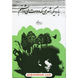 بار دیگر شهری که دوست می داشتم / نادر ابراهیمی / روزبهان