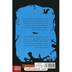 ادگار آلن پوی جوان 2: قتل عجیب ماری روژه / کوکا کانالس / سعید متین / نشر هوپا