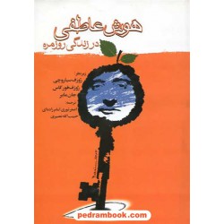 هوش عاطفی در زندگی روزمره / نشر نوشته