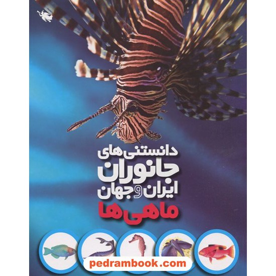 خرید کتاب ماهی‌ها (دانستنی‌های جانوران ایران و جهان) / محمد کرام الدینی / نشر طلایی کد کتاب در سایت کتاب‌فروشی کتابسرای پدرام: 13737