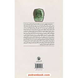 خود نویسم را از آفتاب پر می کنم: نامه های پرویز شاپور به فرزندش کامیار / فرناز تبریزی - کامیار شاپور / مروارید