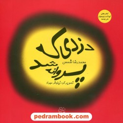 دزدی که پروانه شد / محمد رضا شمس / نشر چشمه