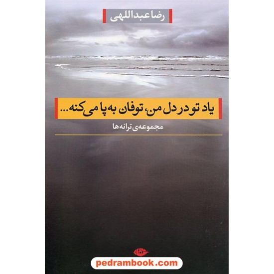 خرید کتاب یاد تو در دل من، توفان به پا می کنه / مجموعه ترانه های رضا عبداللهی / نگاه کد کتاب در سایت کتاب‌فروشی کتابسرای پدرام: 13835