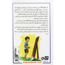 الماس درون پسران / آنچه باید درباره ی بلوغ، خودشناسی، موفقیت و شاد زیستن بدانید / میلاد جهانگیری بلطاقی / نشر آمیس