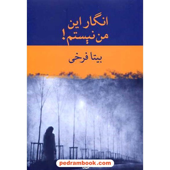 خرید کتاب انگار این من نیستم / بیتا فرخی / شادان کد کتاب در سایت کتاب‌فروشی کتابسرای پدرام: 14442