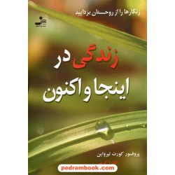 زندگی در اینجا و اکنون: زنگارها را از روحتان بزدایید / کورت تپرواین / کلارا کرمی / نسل نو اندیش