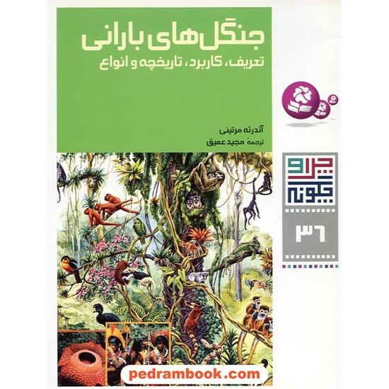 خرید کتاب چرا و چگونه 36: جنگل های بارانی / قدیانی کد کتاب در سایت کتاب‌فروشی کتابسرای پدرام: 15079