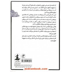 انجمن ارواح غمگین1 / لیز مدینگز / نشر میلکان - کتاب چار
