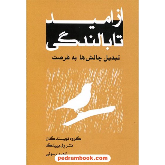 عکس کتاب از امید تا بالندگی / تبدیل چالش ها به فرصت / ناهید رسولی / ترانه پدرام خرید کتاب از امید تا بالندگی / تبدیل چالش ها به فرصت / ناهید رسولی / ترانه پدرام کد کالا در سایت کتابفروشی کتابسرای پدرام: 15840