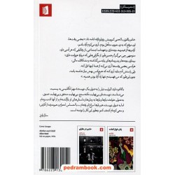 خانم پالفری در کلرمانت / الیزابت تیلر / مزدک بلوری / نشر بیدگل