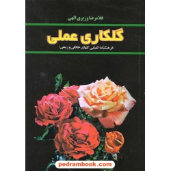 گلکاری عملی (فرهنگنامه الفبایی گلهای خانگی و زینتی) / غلامرضا وزیری الهی / روزبهان