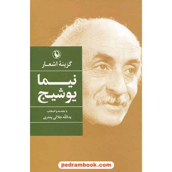 خرید کتاب گزینه اشعار نیما یوشیج / رقعی / مروارید کد کتاب در سایت کتاب‌فروشی کتابسرای پدرام: 16140