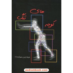 کوچه های تنگ / علیرضا زارعی محمود آبادی / همارا