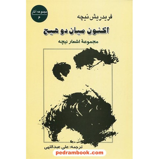 خرید کتاب اکنون میان دو هیچ مجموعه اشعار فریدریش نیچه / علی عبدالهی / جامی کد کتاب در سایت کتاب‌فروشی کتابسرای پدرام: 18208