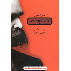 خودآموز نیچه / روی جکسن / شاهین صولتی / جاودان خرد