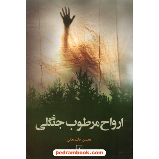 عکس کتاب ارواح مرطوب جنگلی / محسن حکیم معانی / ققنوس خرید کتاب ارواح مرطوب جنگلی / محسن حکیم معانی / ققنوس کد کتاب در سایت کتابفروشی کتابسرای پدرام: 18839