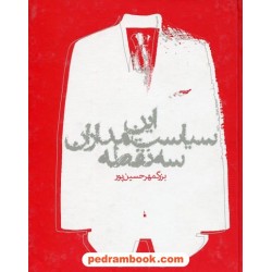 این سیاست مداران سه نقطه / بزرگمهر حسین پور / روزبه