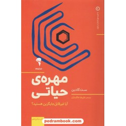 مهره ی حیاتی: آیا غیرقابل جایگزین هستید؟ / ست گادین / علیرضا خاکساران / آموخته