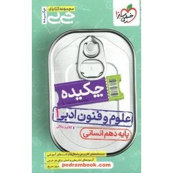 چکیده علوم و فنون ادبی 1 دهم علوم انسانی / جی بی / خیلی سبز