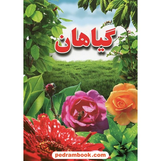 خرید کتاب گیاهان / ترجمه و گردآوری: علی ذوالفقاری / نشر لیدا کد کتاب در سایت کتاب‌فروشی کتابسرای پدرام: 20417