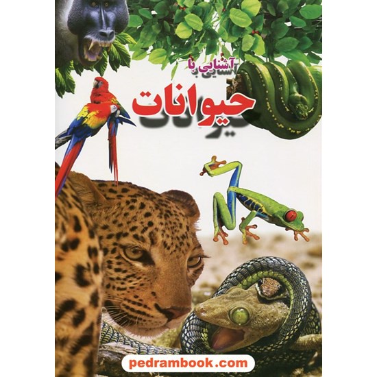 خرید کتاب آشنایی با حیوانات / ترجمه و گردآوری: علی ذوالفقاری / نشر لیدا کد کتاب در سایت کتاب‌فروشی کتابسرای پدرام: 20419