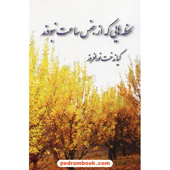 عکس کتاب لحظه هایی که از جنس ساعت نبودند / کیاندخت نورافروز / پیکان خرید کتاب لحظه هایی که از جنس ساعت نبودند / کیاندخت نورافروز / پیکان کد کتاب در سایت کتابفروشی کتابسرای پدرام: 22161