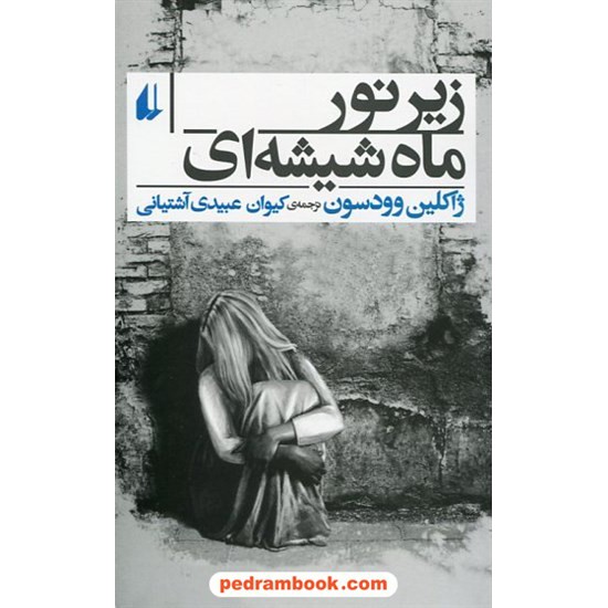 خرید کتاب زیر نور ماه شیشه ای / ژاکلین وودسون / کیوان عبیدی آشتیانی / نشر افق کد کتاب در سایت کتاب‌فروشی کتابسرای پدرام: 22702