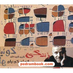 زندگی: گزین گویه های پائولو کوئیلو / (خشتی کوچک) / مارسیا بوتهلو / سمیه پایدار / حوض نقره