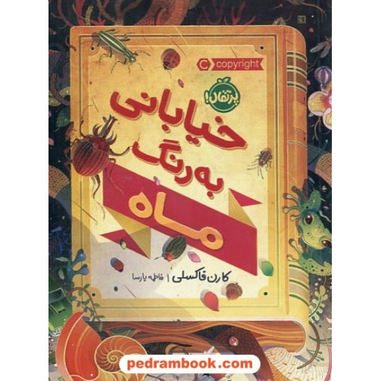 خرید کتاب خیابانی به رنگ ماه / کارن فاکسلی / فاطمه پارسا / پرتقال کد کتاب در سایت کتاب‌فروشی کتابسرای پدرام: 2324