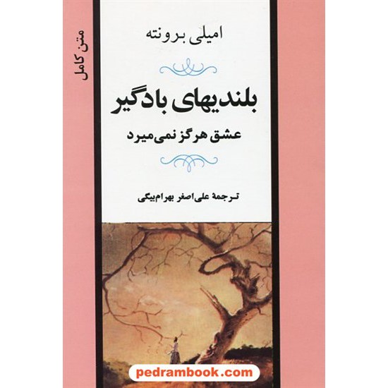 خرید کتاب بلندی های بادگیر (عشق هرگز نمی میرد) / امیلی برونته / علی اصغر بهرام بیگی / نشر جامی کد کتاب در سایت کتاب‌فروشی کتابسرای پدرام: 23855