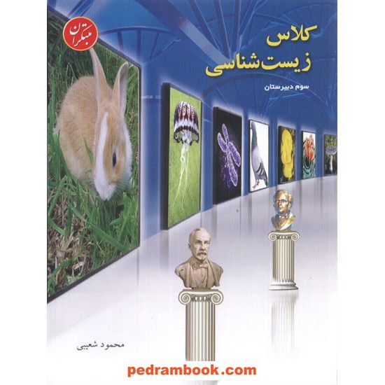 خرید کتاب کلاس زیست شناسی 2 سوم تجربی / محمود شعیبی / مبتکران کد کتاب در سایت کتاب‌فروشی کتابسرای پدرام: 2487
