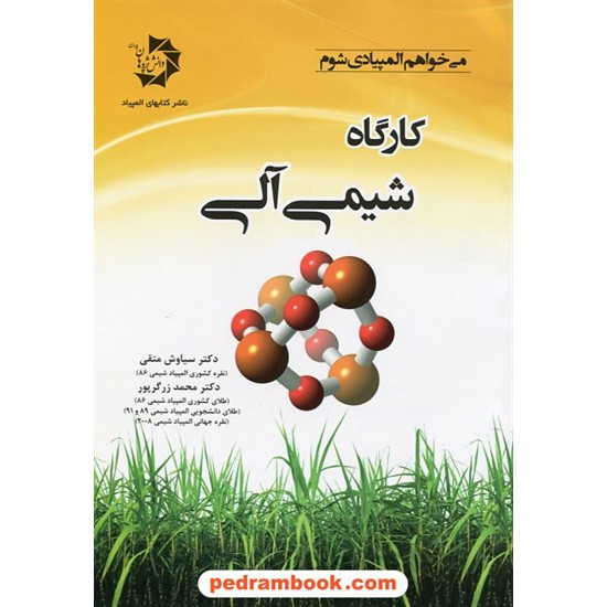 خرید کتاب کارگاه شیمی آلی / سیاوش متقی - محمد زرگرپور / دانش پژوهان جوان کد کتاب در سایت کتاب‌فروشی کتابسرای پدرام: 25127