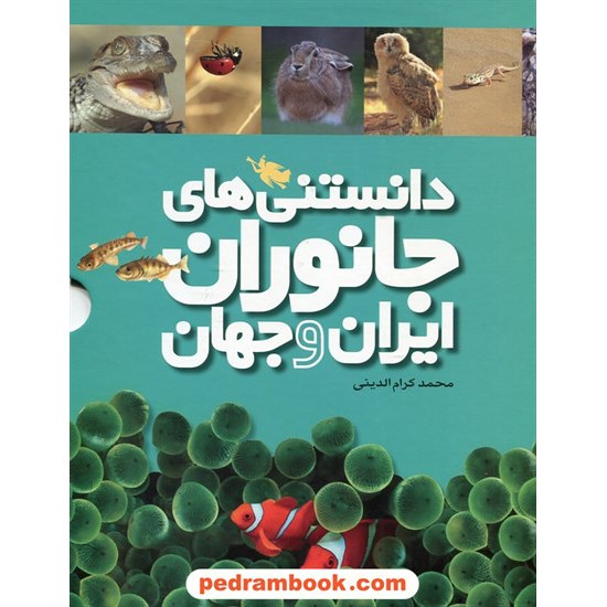 خرید کتاب دانستنی های جانوران ایران و جهان مجموعه 6 جلدی قابدار / محمد کرام الدینی / نشر طلایی کد کتاب در سایت کتاب‌فروشی کتابسرای پدرام: 25248