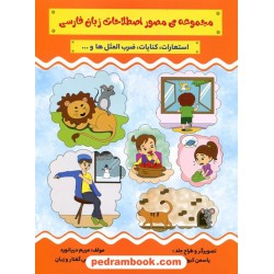 مجموعه‌ی مصور اصطلاحات زبان فارسی / مریم دریانورد / سفیر صادق
