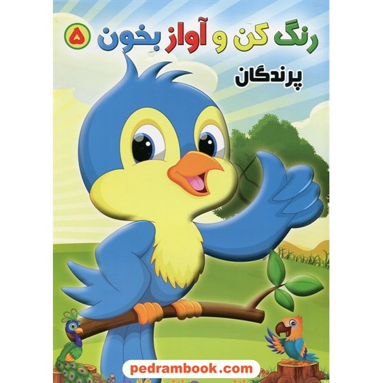 خرید کتاب رنگ کن و آواز بخون 5: پرندگان / حسین صادق مفرد کد کتاب در سایت کتاب‌فروشی کتابسرای پدرام: 26501