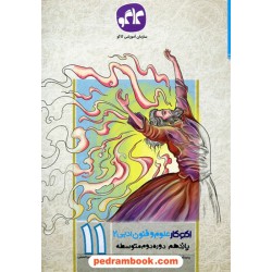 علوم و فنون ادبی 2 یازدهم علوم انسانی / اکو کار / انتشارات کاگو