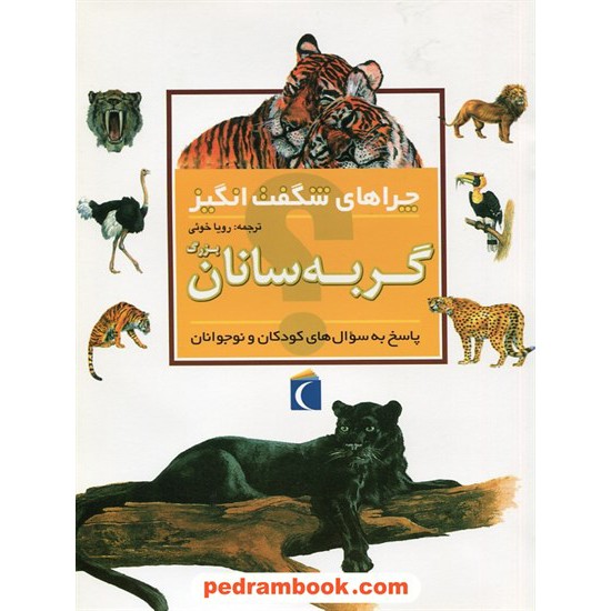 خرید کتاب چراهای شگفت انگیز: گربه سانان بزرگ / محراب قلم کد کتاب در سایت کتاب‌فروشی کتابسرای پدرام: 27817