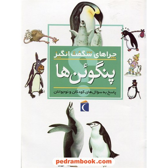 خرید کتاب چراهای شگفت انگیز: پنگوئن ها / محراب قلم کد کتاب در سایت کتاب‌فروشی کتابسرای پدرام: 27824