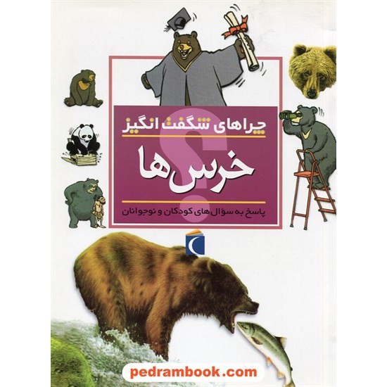 خرید کتاب چراهای شگفت انگیز: خرس ها / محراب قلم کد کتاب در سایت کتاب‌فروشی کتابسرای پدرام: 27825