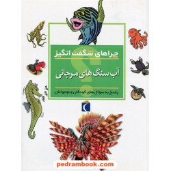 چراهای شگفت انگیز: آب سنگ های مرجانی / محراب قلم