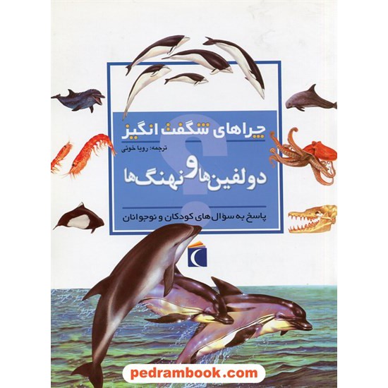 خرید کتاب چراهای شگفت انگیز: دلفین ها و نهنگ ها / محراب قلم کد کتاب در سایت کتاب‌فروشی کتابسرای پدرام: 27827