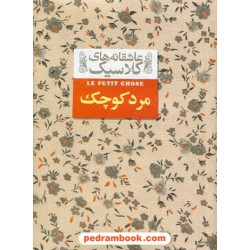 مرد کوچک (عاشقانه های کلاسیک) / آلفونس دوده / محمد گودرزی / افق